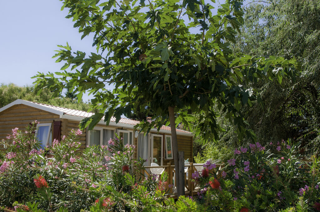 Las Bousigues, Campingplatz Languedoc Roussillon - 33