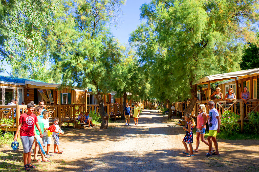 La Nina, Campingplatz Languedoc Roussillon - 11