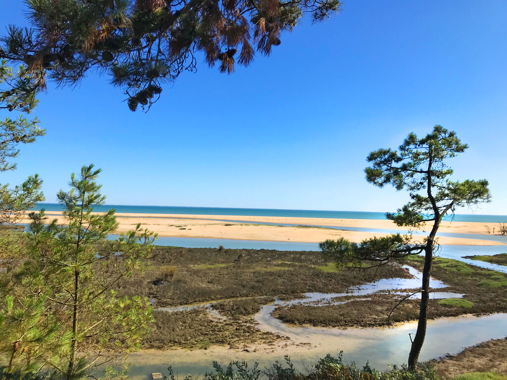 Les Prises, Campingplatz Pays de la Loire - 25