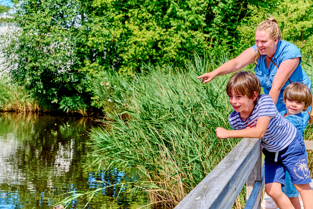 De Waldsang, Campingplatz Friesland - 17