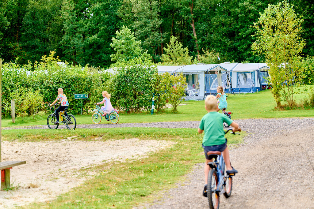 De Waldsang, Campingplatz Friesland - 27